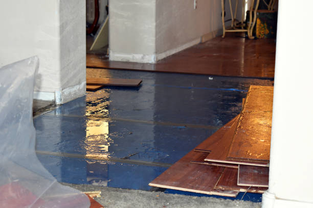 Professional Basement Flood Cleanup technician working in Tuscumbia, AL